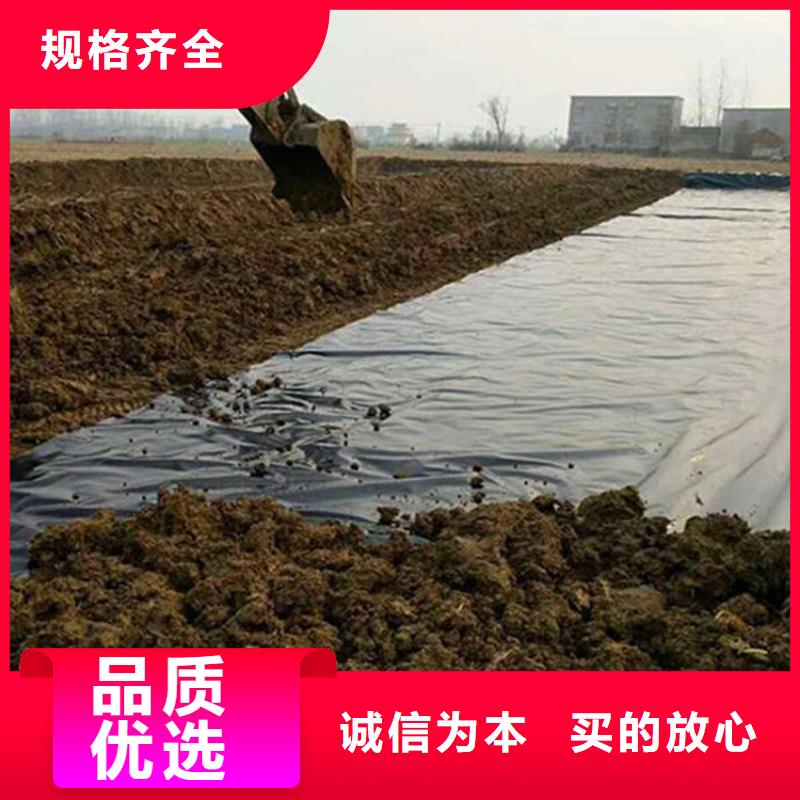 HDPE防渗膜-养鹅场防渗土工膜-复合防渗土工膜大厂生产品质