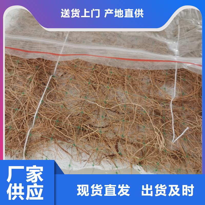 护坡植被植草毯厂家供应发货及时