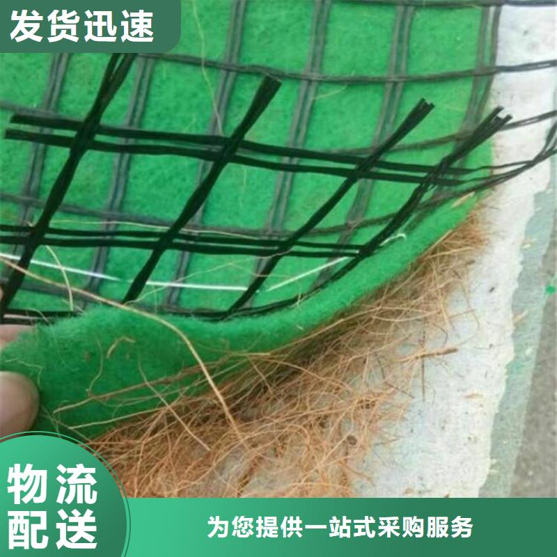 植生椰丝毯加筋抗冲生物毯同城生产厂家