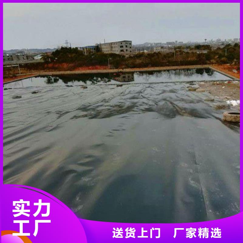 垃圾填埋场覆盖土工膜多年实力厂家