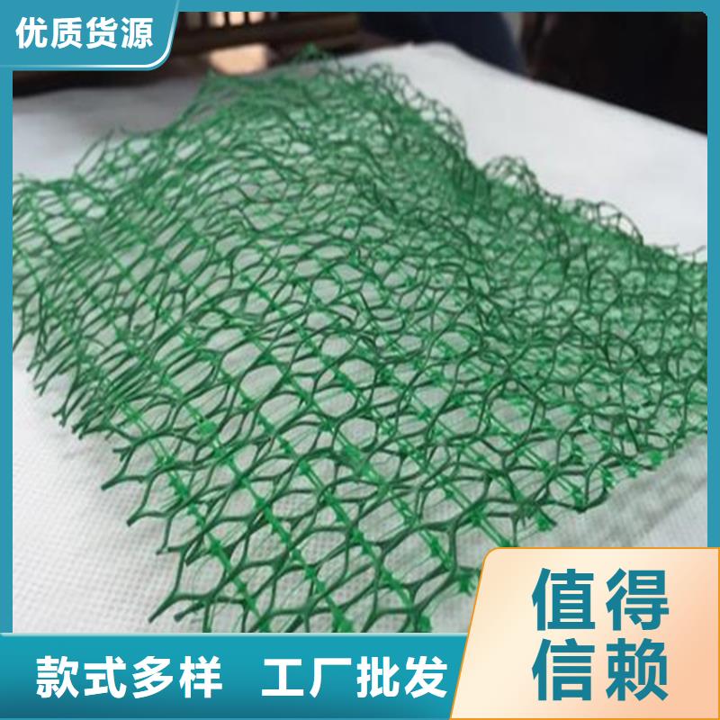 三维植被网型号结构当地公司