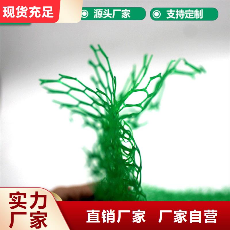三维加筋土工网垫欢迎电询实体诚信经营