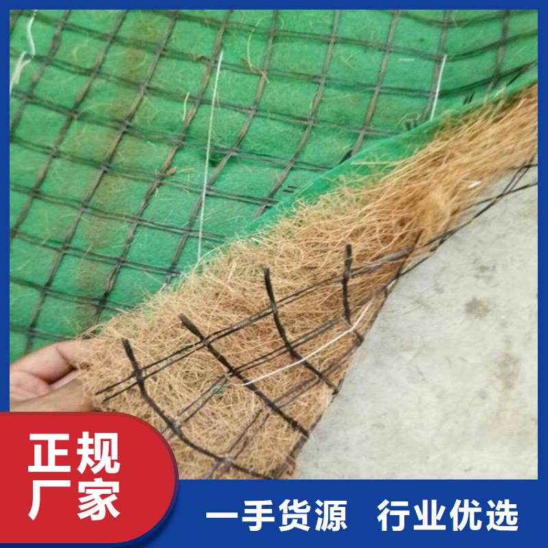草种椰丝毯-加筋抗冲植草毯当地经销商