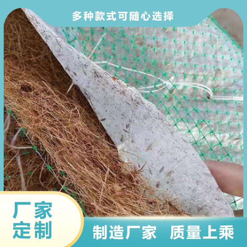 加筋抗冲生物毯-草种植生毯好品质经得住考验