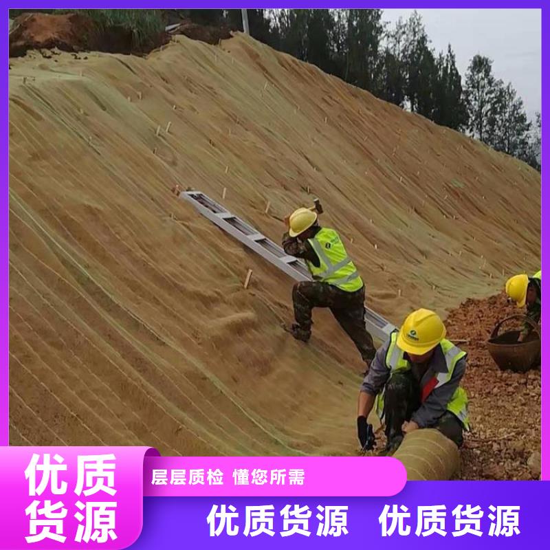 护坡植被植草毯-植物纤维毯同城厂家