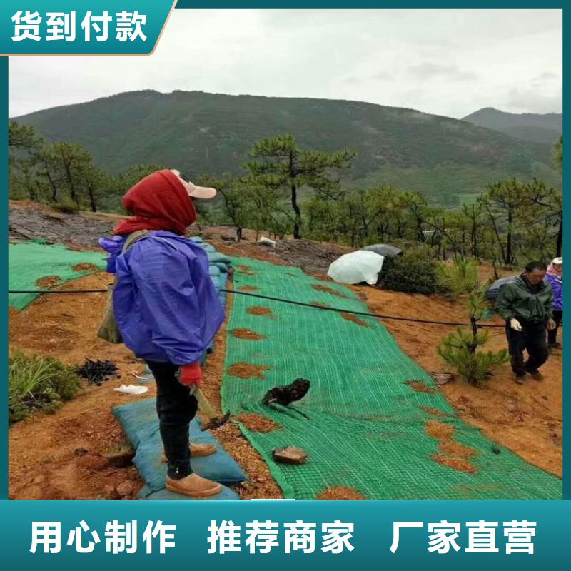 加筋抗冲生物毯-秸秆纤维生态毯-抗冲毯一对一为您服务