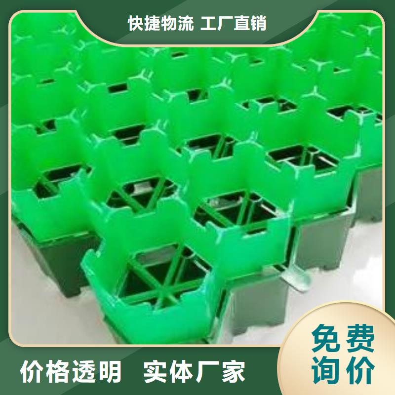 塑料植草格生产厂家本地品牌