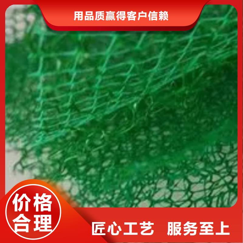 三维植被网价格让客户买的放心