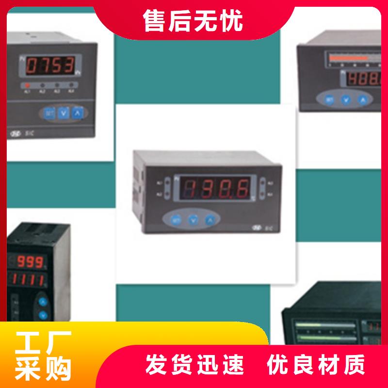 常年供应双回路控制仪WP-D823-022-23/23-2H2L-保质附近品牌