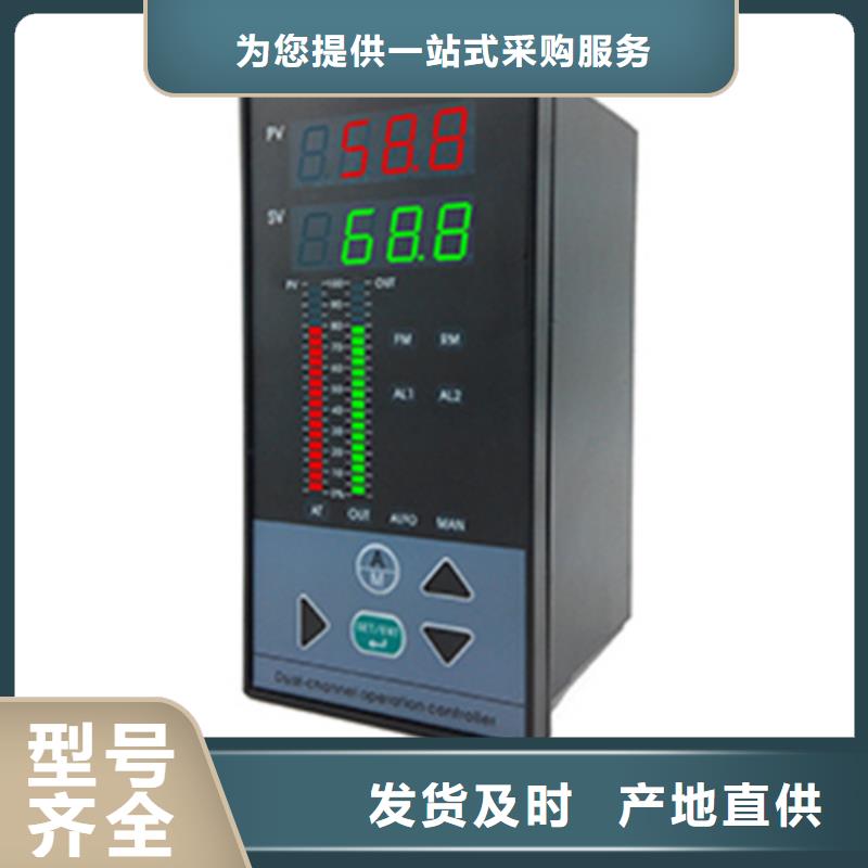 定制智能显示仪WP-C701-02-03-N的公司产品优良