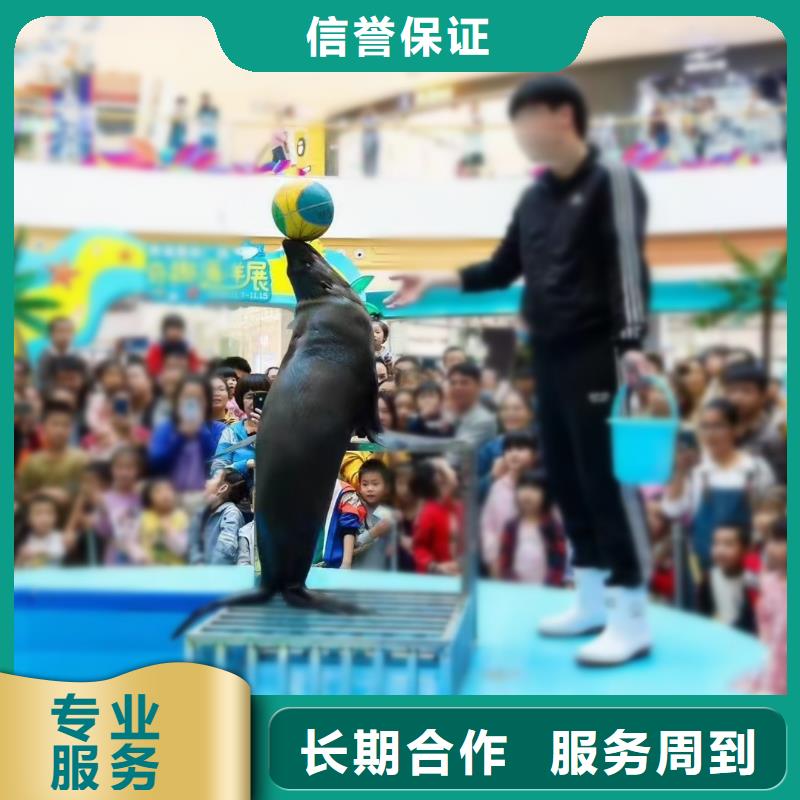 海洋生物展租赁周边本地经销商