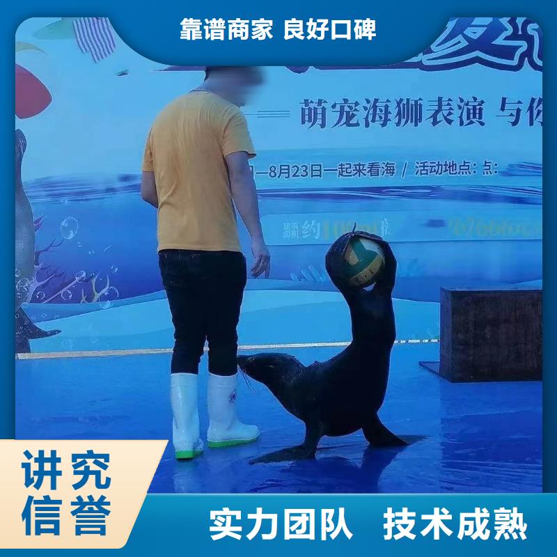 海洋生物展出租公司一手资源价格透明