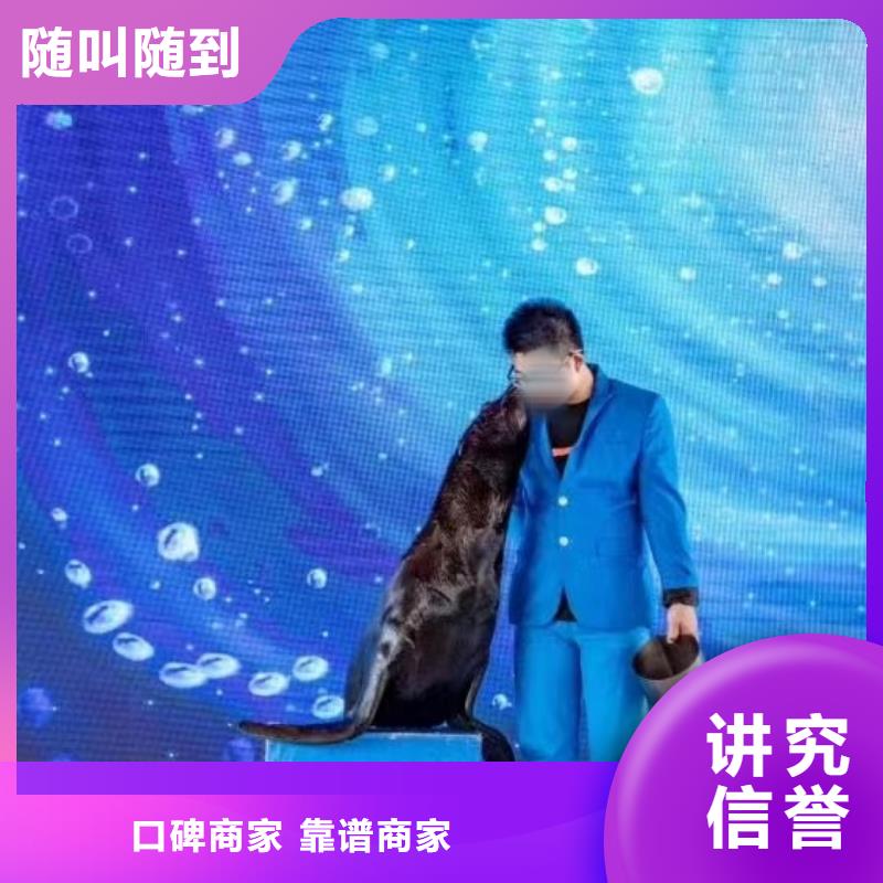 美人鱼表演出租活动图片齐全