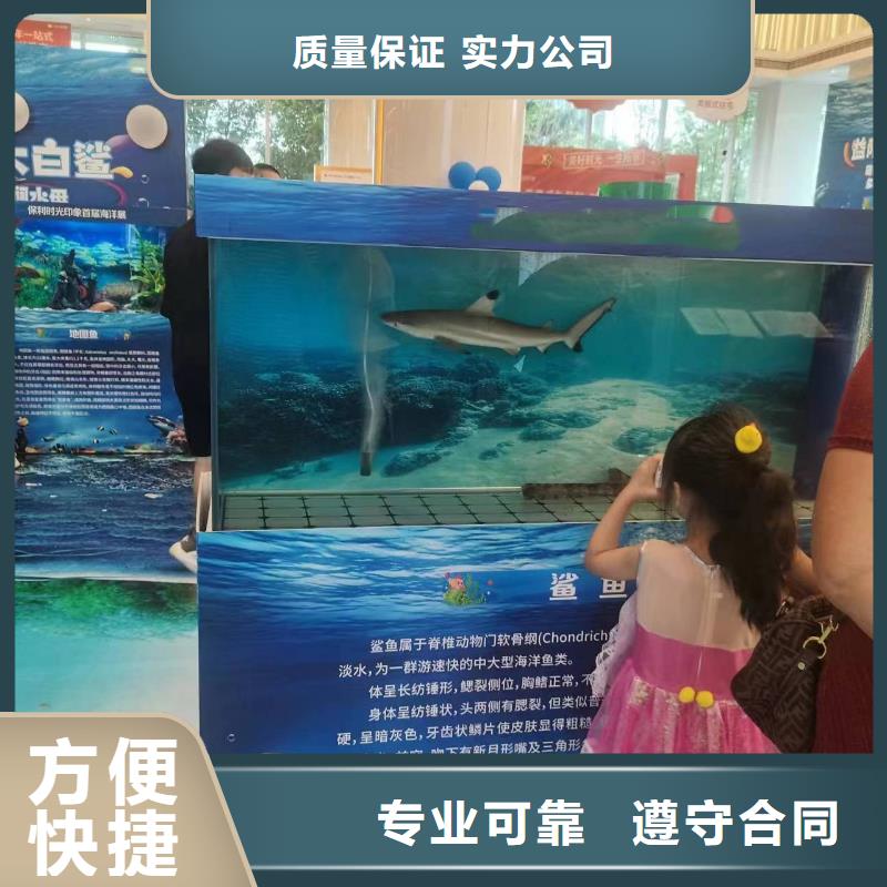 海洋展出租附近高效