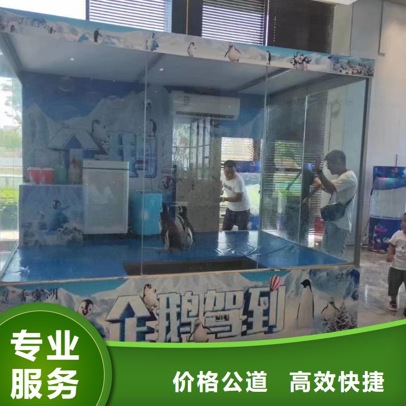 海洋生物展租赁查看详情当地公司