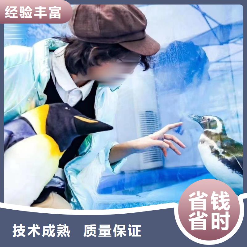 海洋展出租品种多价格低售后保障