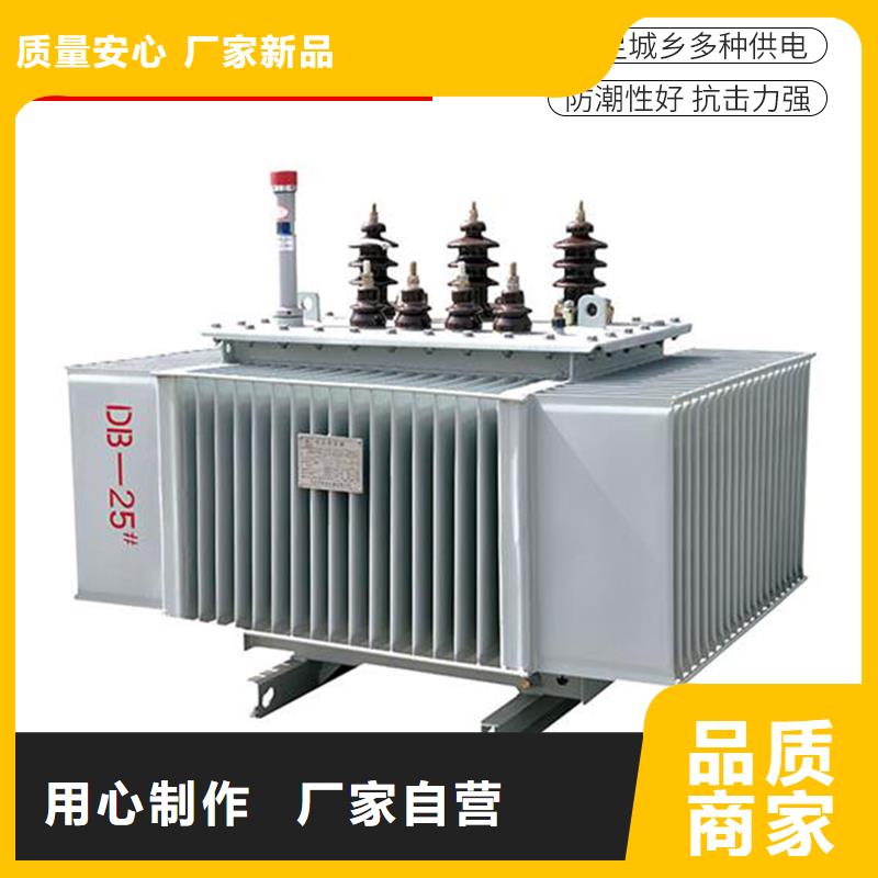 12500KVA油浸式变压器价格/S11/S13-800KVA/10KV/0.4KV油浸式变压器本地厂家