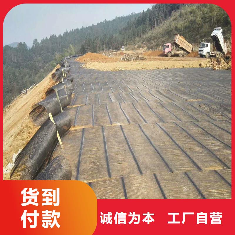 双向塑料土工格栅报价当地服务商