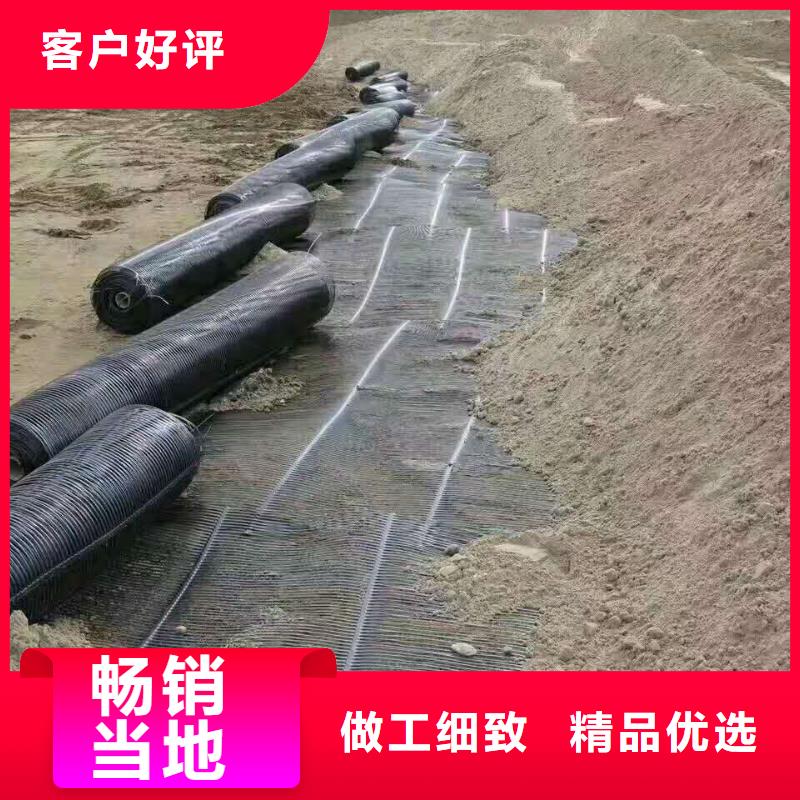 钢塑焊接土工格栅厂家价格当地制造商