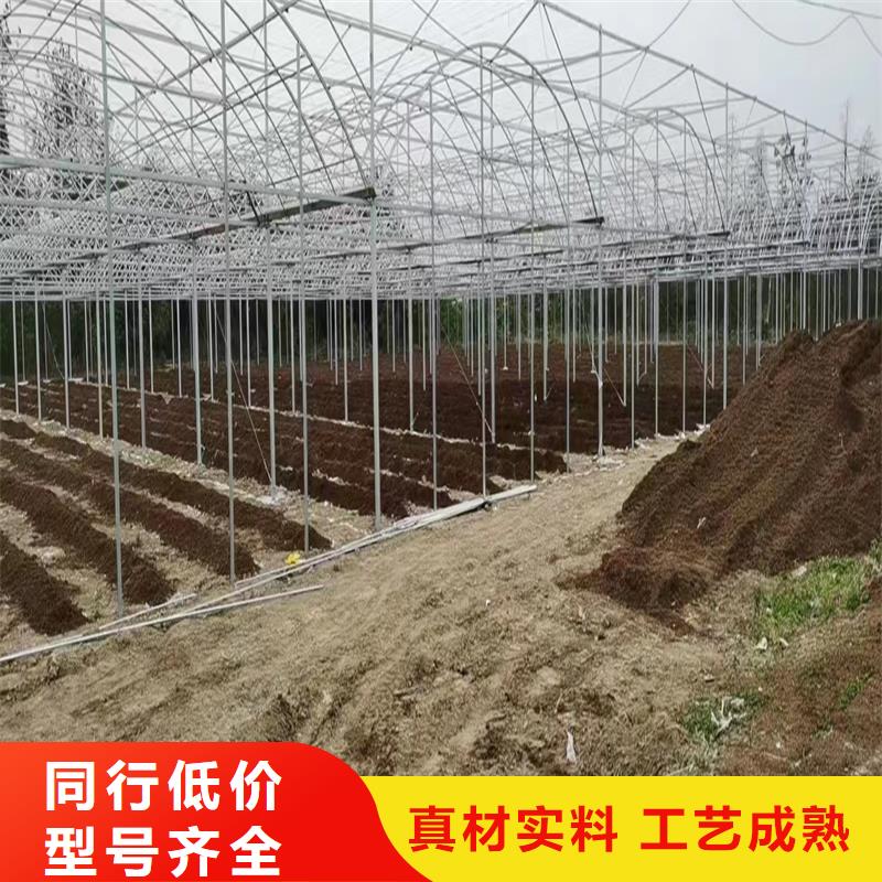 高青县GP825单体蔬菜大棚厂家价格定金锁价