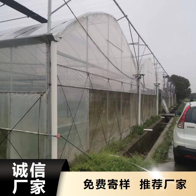 服务周到的养殖大棚公司本地制造商