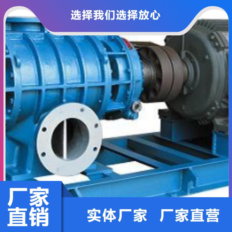 山东临风科技股份三叶罗茨鼓风机LFSR250当地厂家