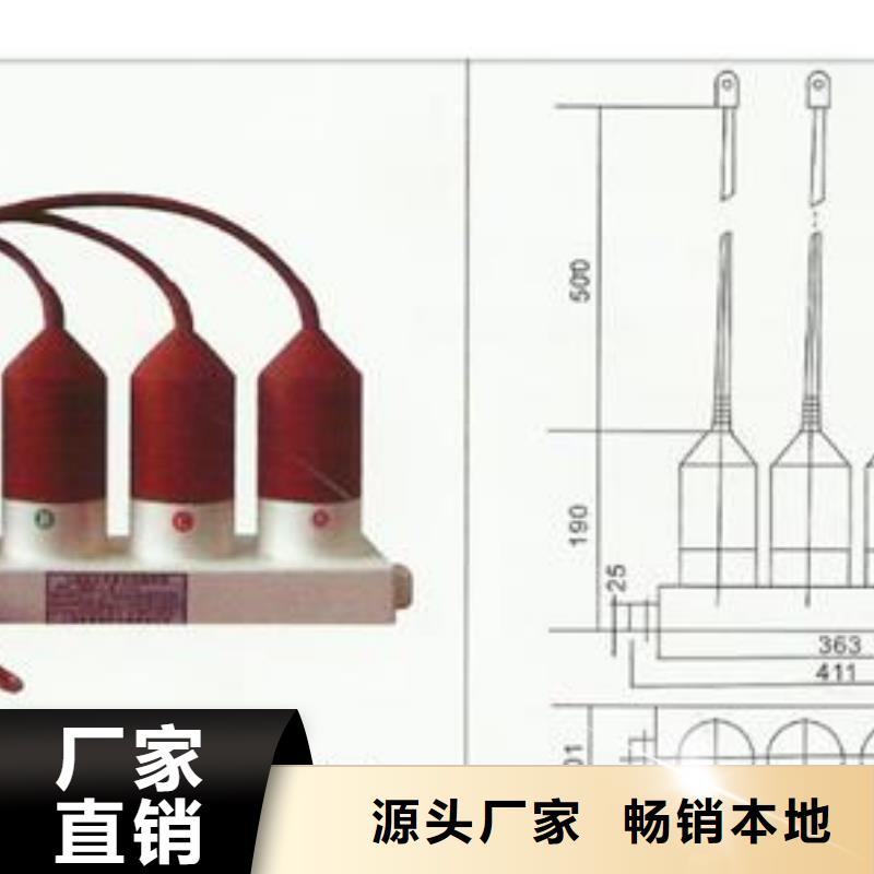 JCQ3B避雷器放电计数器厂家产品细节参数