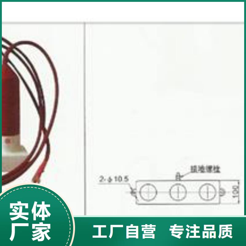 JCQ-3避雷器放电计数器特征同城货源