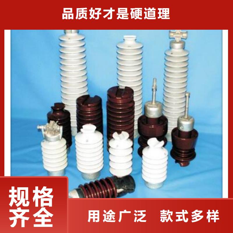 ZJ-10KV/85*145环氧树脂绝缘子专业生产制造厂