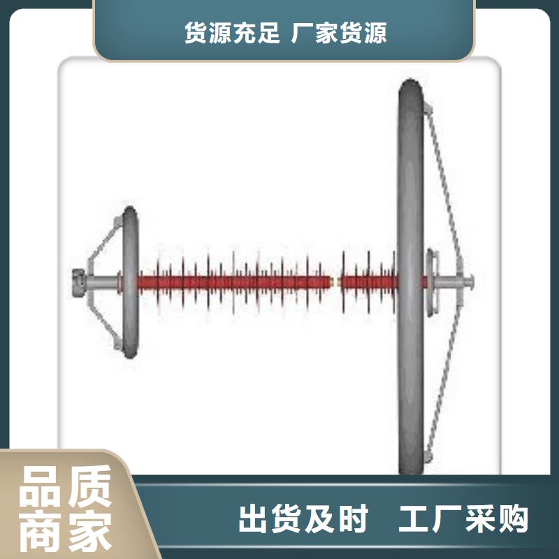 FPA-10/2L18绝缘子樊高专注质量