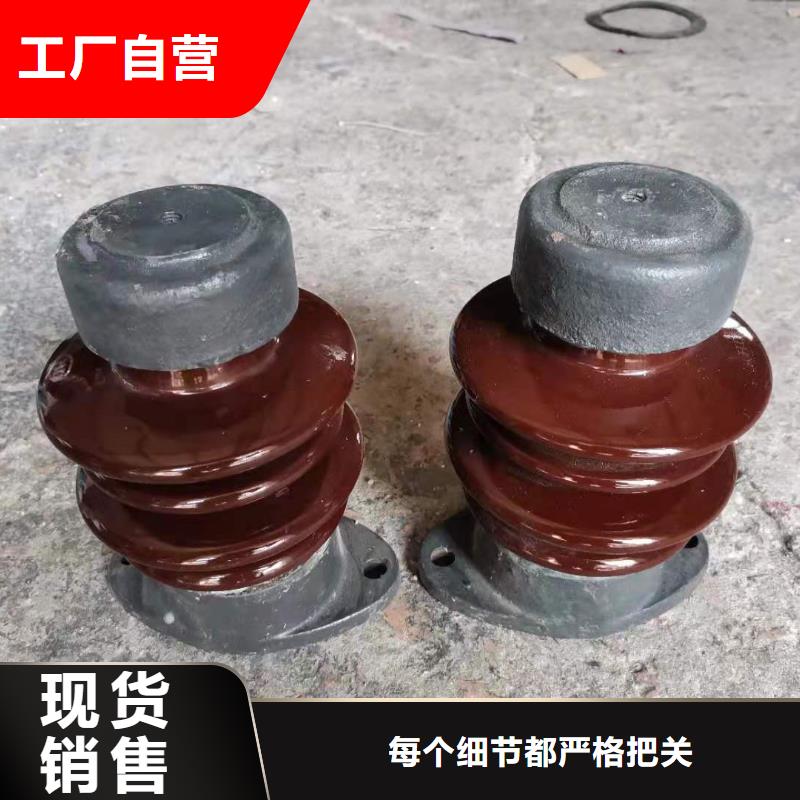 ZJ-35Q120*320环氧树脂绝缘子值得买