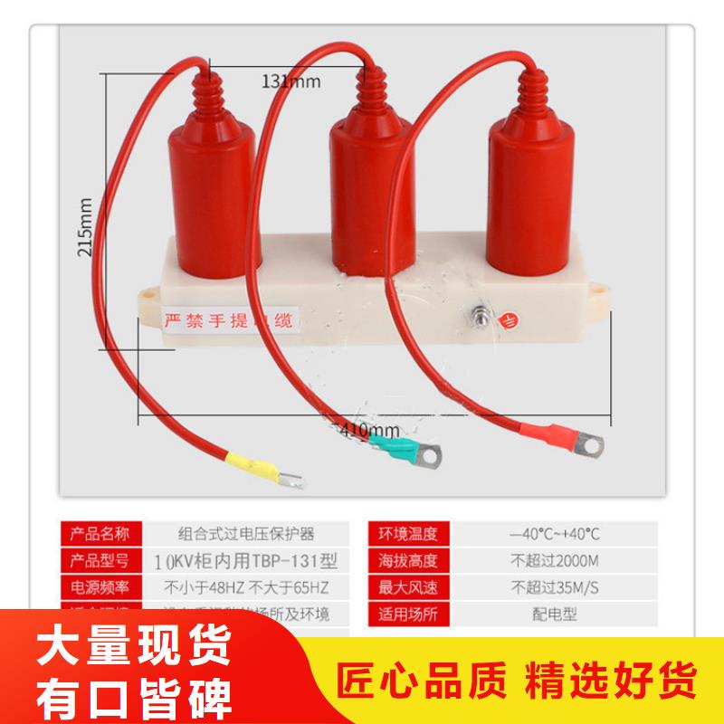 TBP-A-42F/630W三相组合式过电压保护器附近制造商