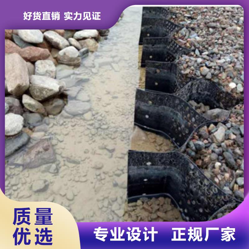 水渠治理蜂巢格室厂家规格齐全当地品牌