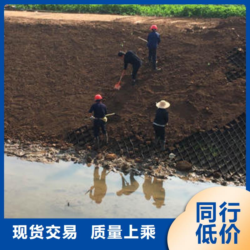 麻栗坡高分子蜂巢格室高强度高拉力，高强度高拉力当地供应商