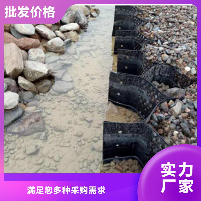 双向土工格室简介本地货源