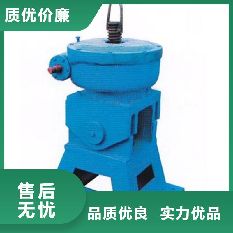 供应滑轮式钢制闸门_厂家当地生产商
