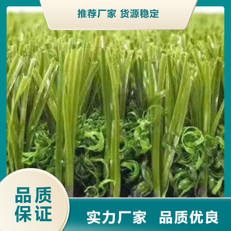 人造草坪人工草皮现货齐全售后无忧