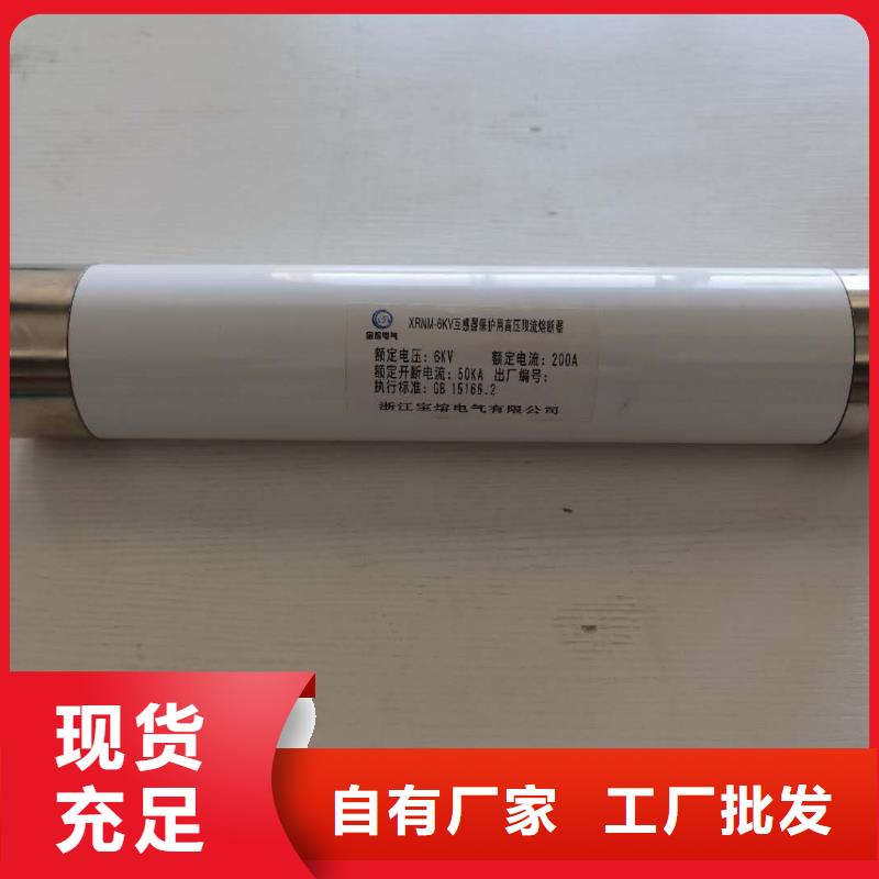 变压器保护用高压限流熔断器XRNT1-3.6KV/31.5A厂家品质服务