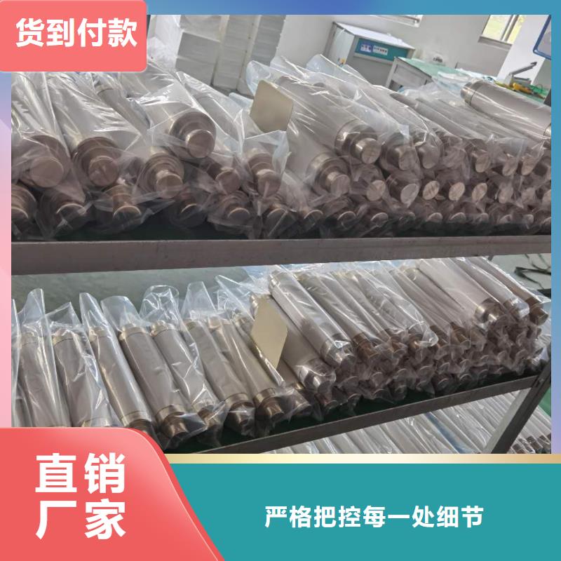 XRNP-35/2A互感器保护用高压限流熔断器厂家直销大量现货