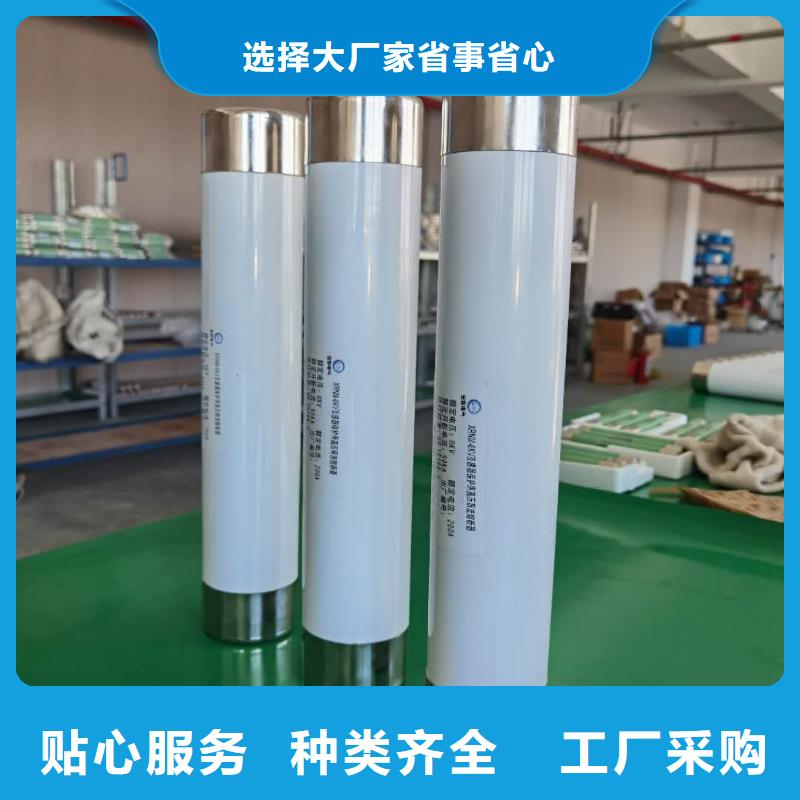 变压器保护用高压限流熔断器XRNT1-3.6KV/63A厂家直销卓越品质正品保障