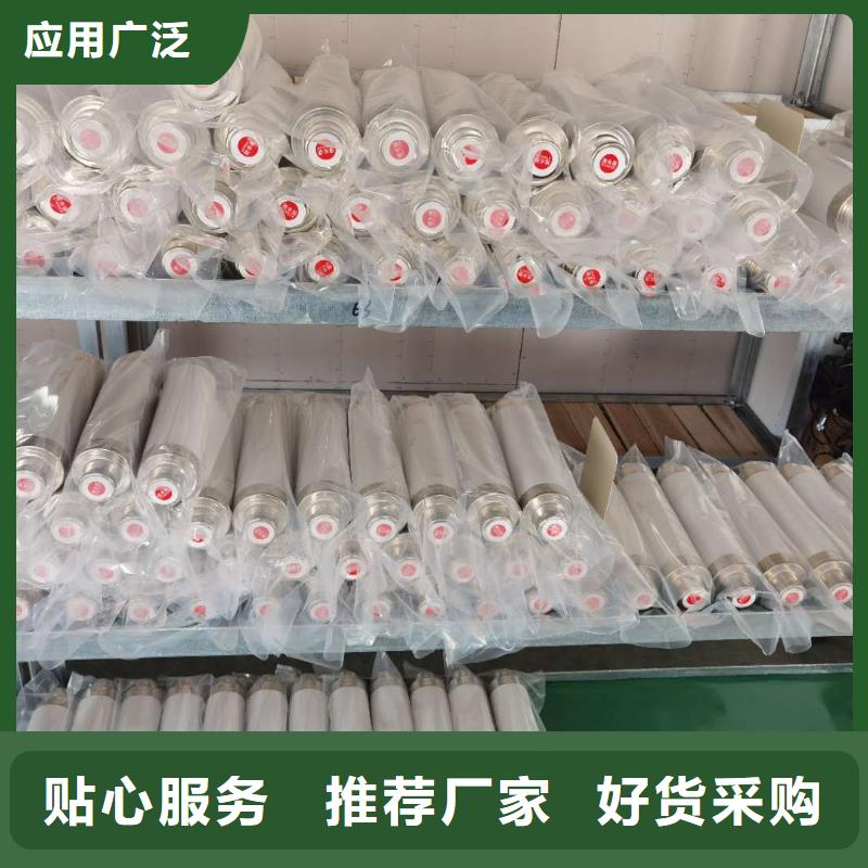 保护电压互感器用高压限流熔断器XRNP1-35/1A当地品牌