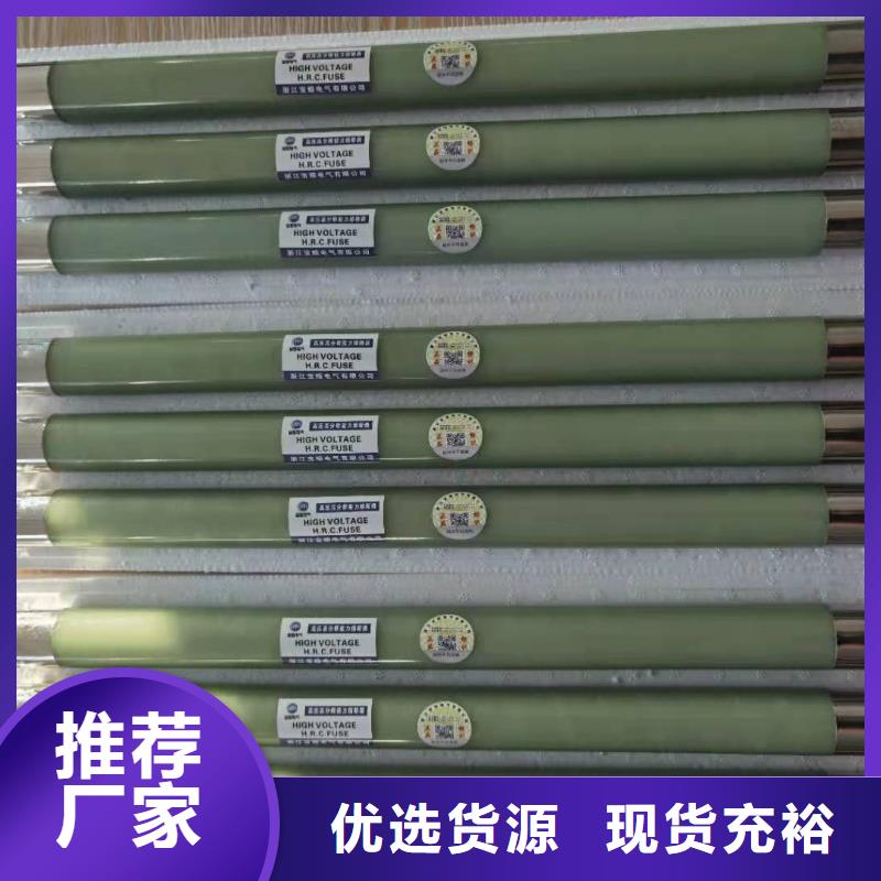 保护电压互感器用高压限流熔断器XRNP1-24/0.5A正品低价专注品质