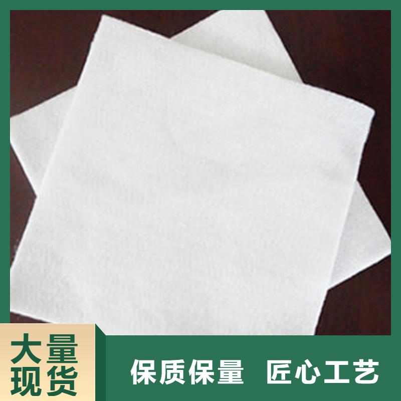 供应无纺长丝丙纶土工布（克重100gsm800gsm）欢迎来电询价