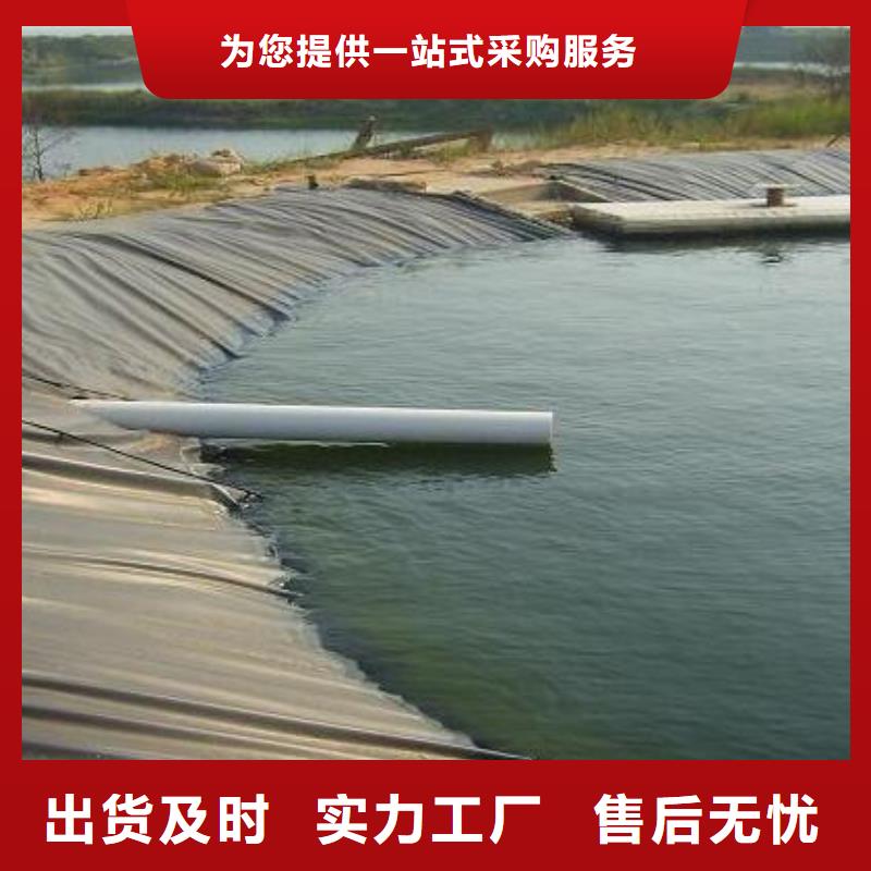 土工膜加筋布价格地道品质商家