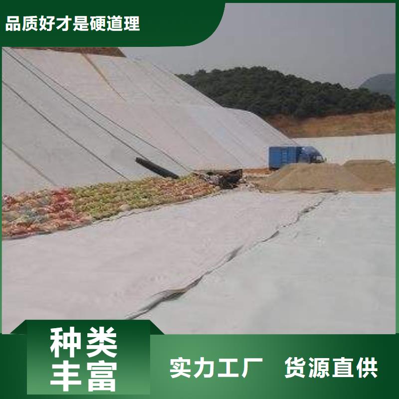复合土工膜加筋布物流配送当地生产厂家