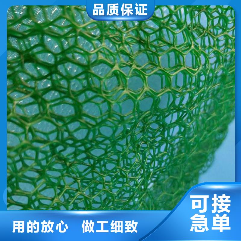 三维植被网双向拉伸塑料格栅产地采购当地制造商
