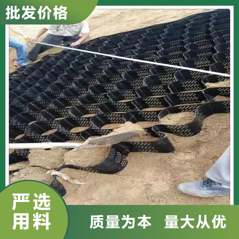 土工格室_蜂巢土工格室价格_护坡土工格室厂家厂家直销省心省钱