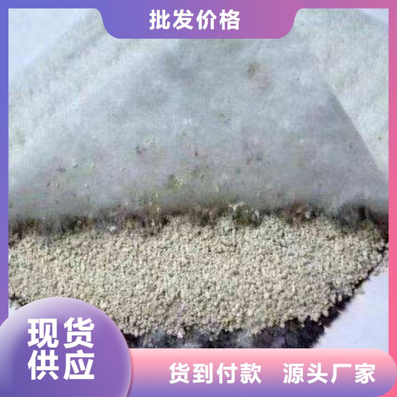 膨润土防水毯(2)-防水毯系列-土工材料生产厂家当地品牌