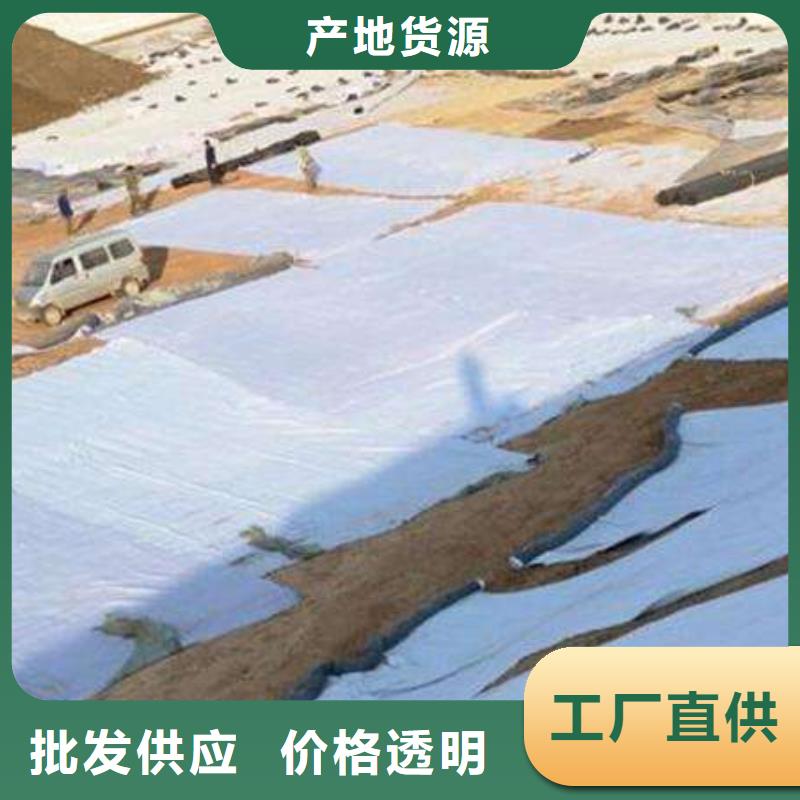 2024膨润土防水毯生产基地附近厂家