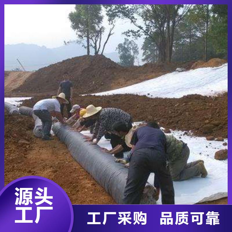 膨润土防水毯_质量好_提供膨润土防水毯_最新报价免费安装